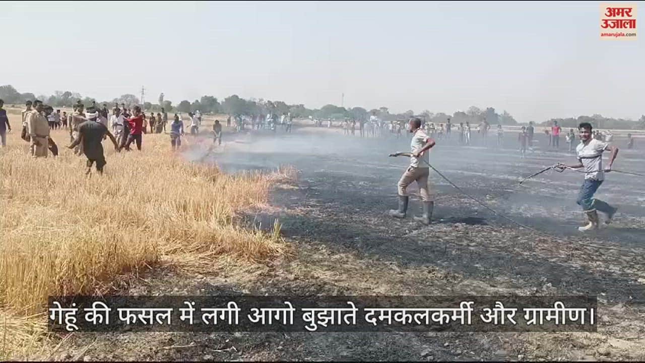 VIDEO : Fire broke out due to spark from wheat harvesting machine, more than 50 bighas of wheat crop burnt to ashes