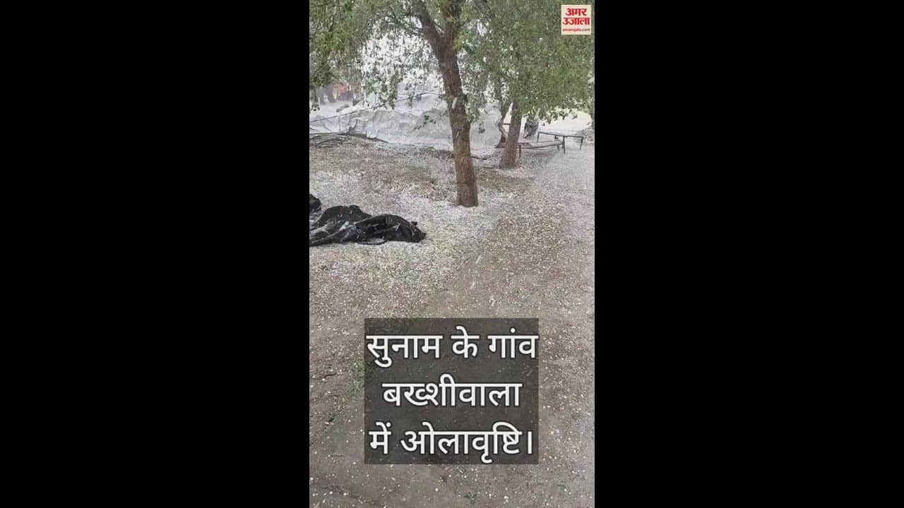 VIDEO : पंजाब में बदला मौसम: तेज आंधी के साथ बारिश और गिरे ओले