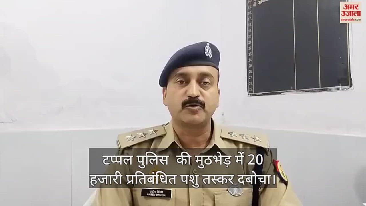 VIDEO : टप्पल पुलिस  की मुठभेड़ में 20 हजारी प्रतिबंधित पशु तस्कर दबोचा