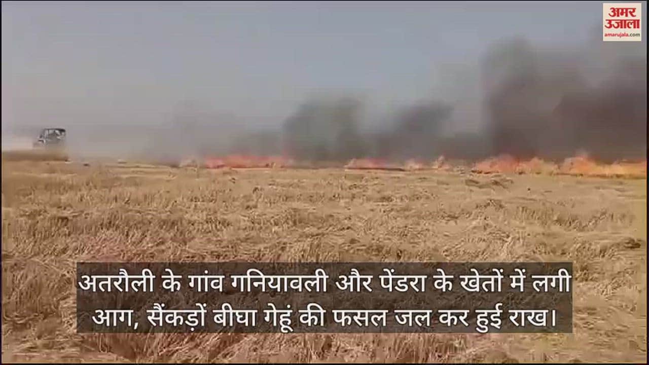 VIDEO : अतरौली के गांव गनियावली और पेंडरा के खेतों में लगी आग, सैंकड़ों बीघा गेहूं की फसल जल कर हुई राख