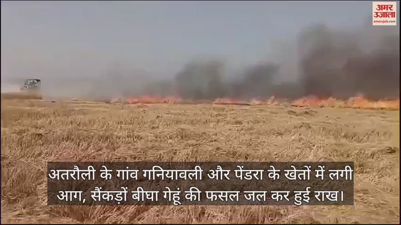 VIDEO : अतरौली के गांव गनियावली और पेंडरा के खेतों में लगी आग, सैंकड़ों बीघा गेहूं की फसल जल कर हुई राख