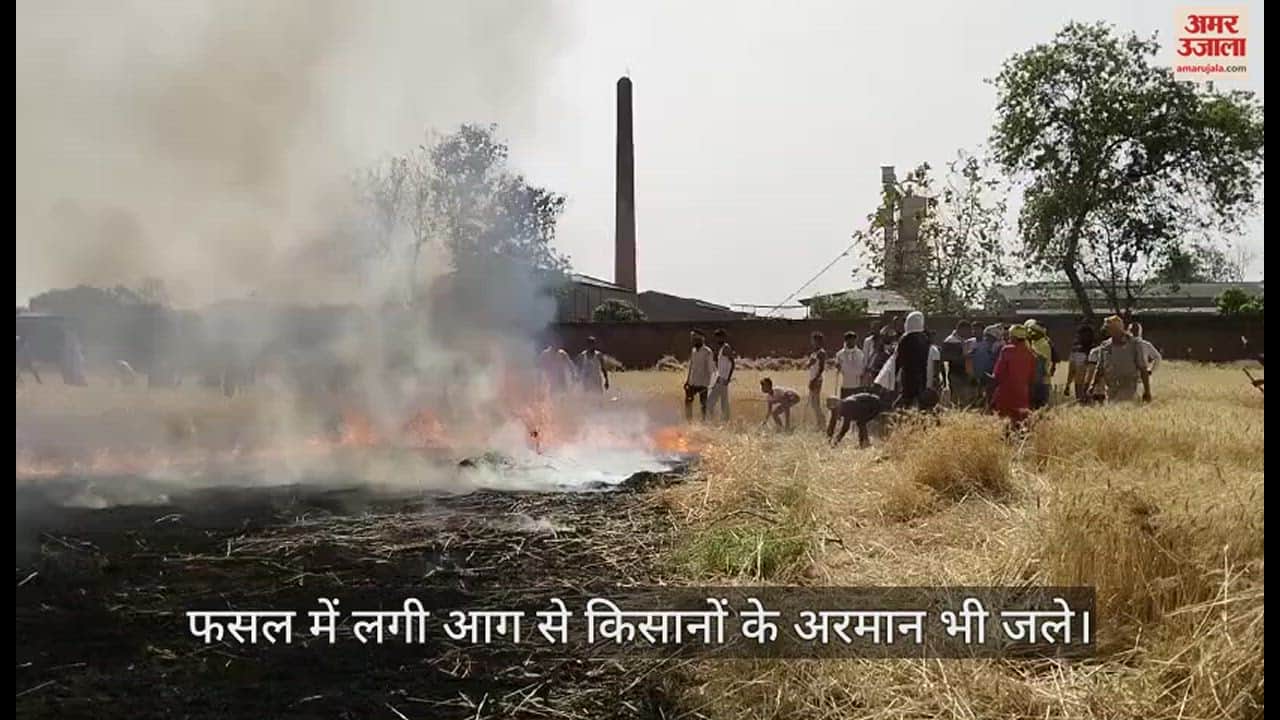 VIDEO : Five bighas wheat crop burnt to ashes due fire in Chandauli