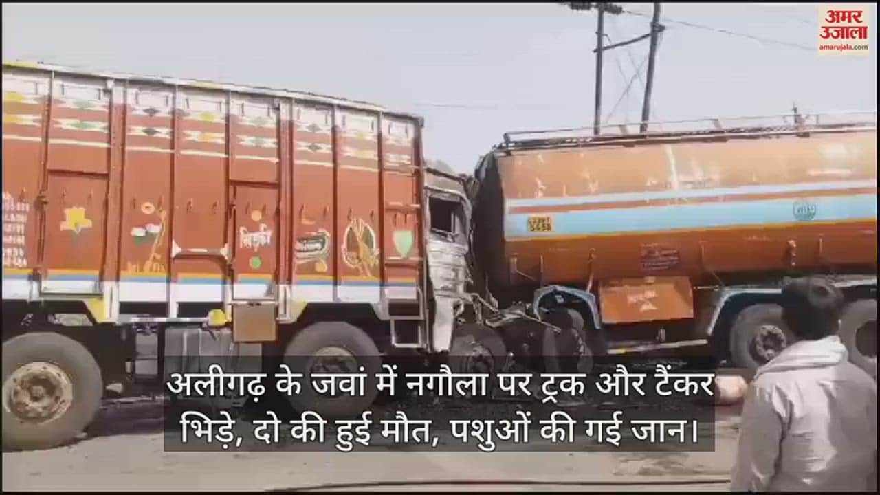 VIDEO : अलीगढ़ के जवां में नगौला पर ट्रक और टैंकर भिड़े, दो की हुई मौत, पशुओं की गई जान