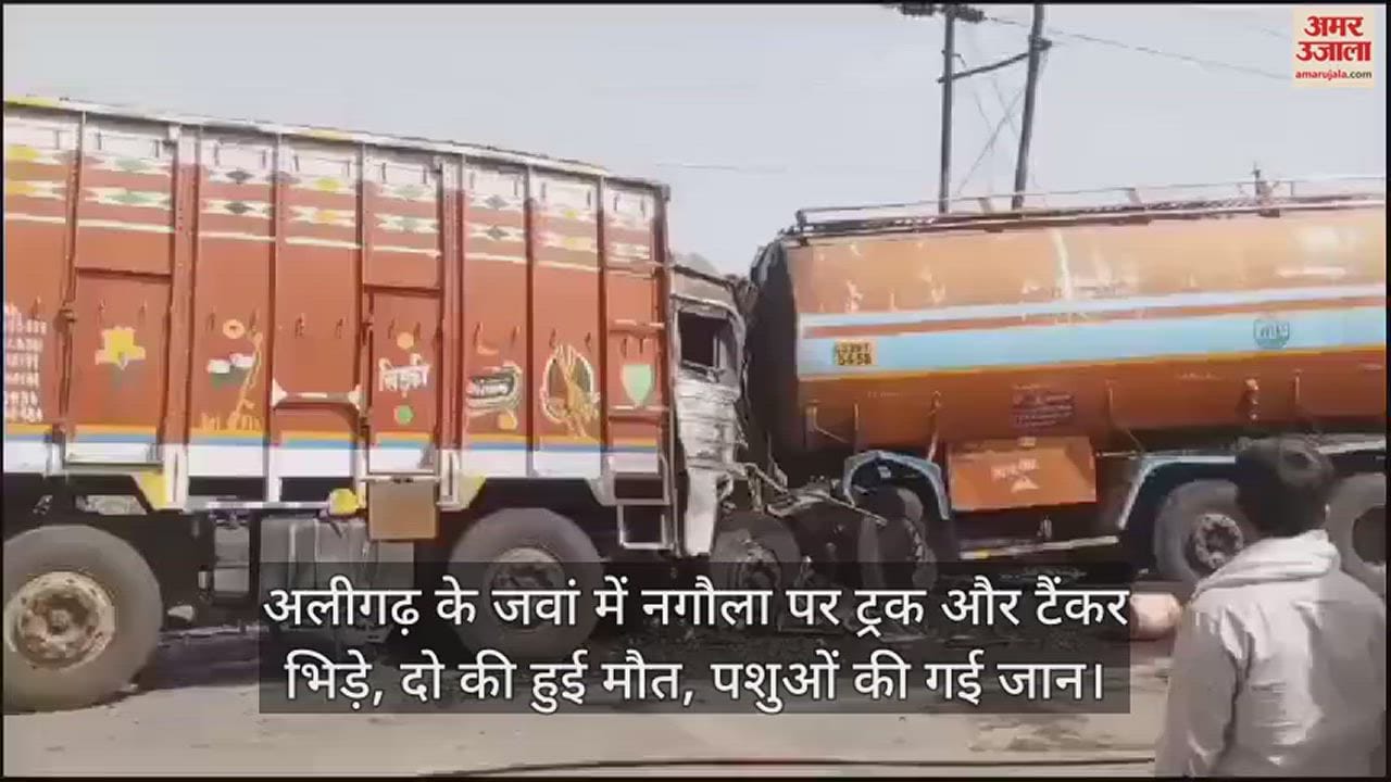 VIDEO : अलीगढ़ के जवां में नगौला पर ट्रक और टैंकर भिड़े, दो की हुई मौत, पशुओं की गई जान