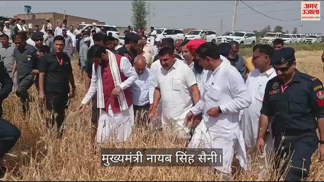 VIDEO : करनाल में मुख्यमंत्री नायब सिंह सैनी खेतों में पहुंचे, ओलावृष्टि व बारिश से हुए नुकसान का जायजा लिया