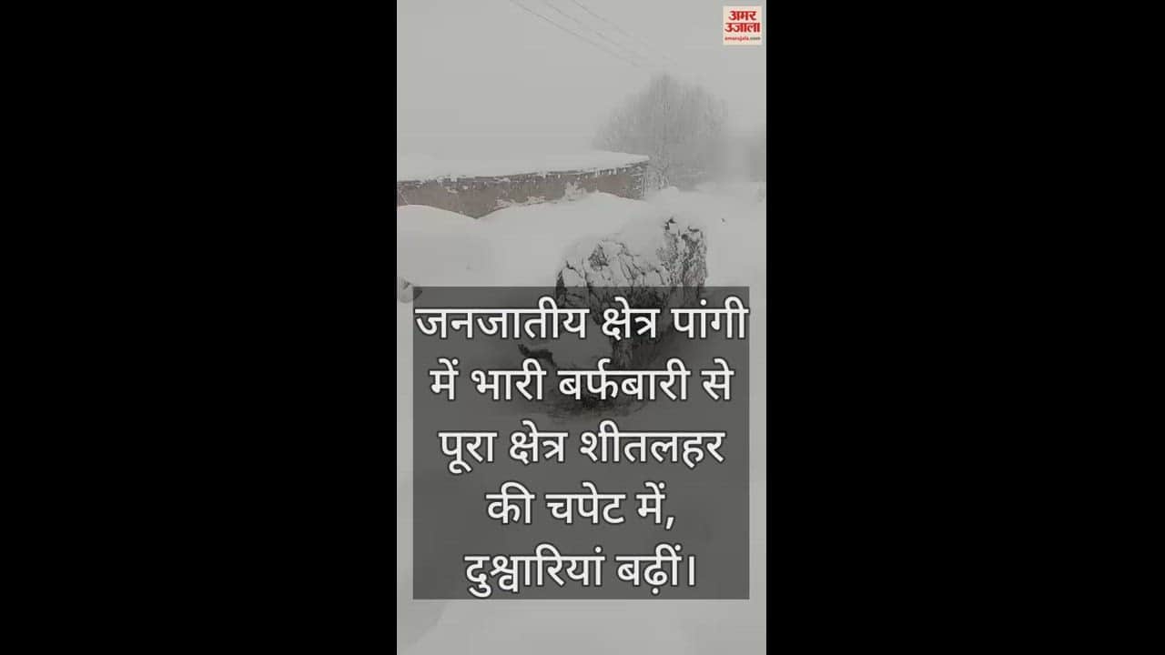 VIDEO : Due to heavy snowfall in the tribal area Pangi, the entire area is in the grip of cold wave