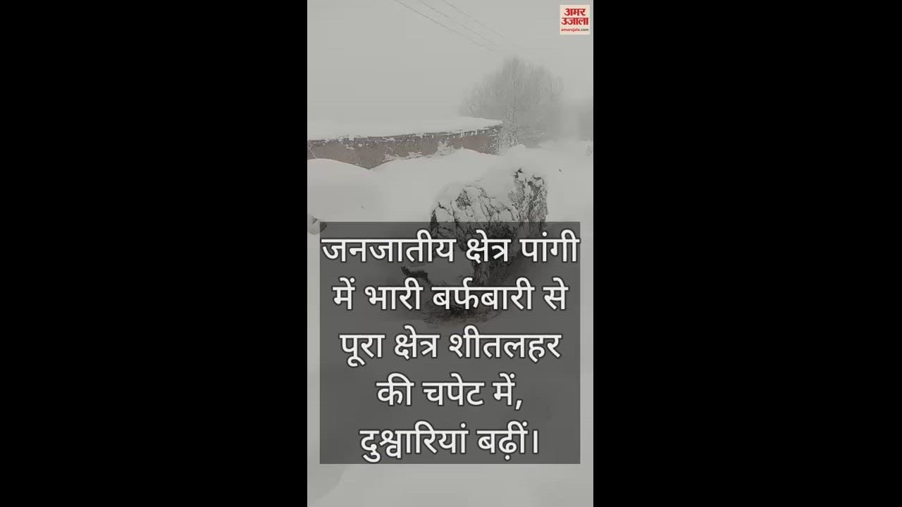 VIDEO : Due to heavy snowfall in the tribal area Pangi, the entire area is in the grip of cold wave