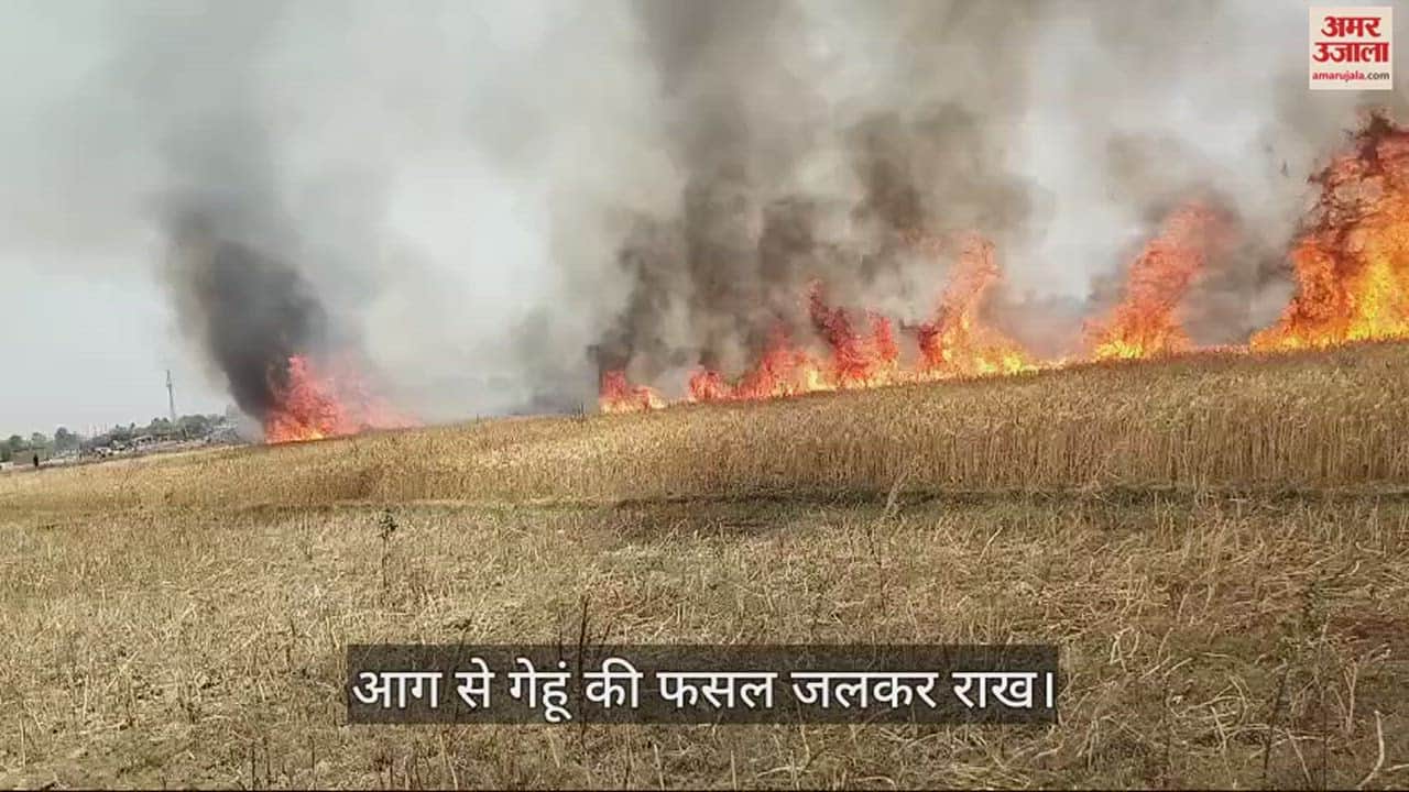 VIDEO : 15 bigha wheat crop burnt to ashes in chandauli