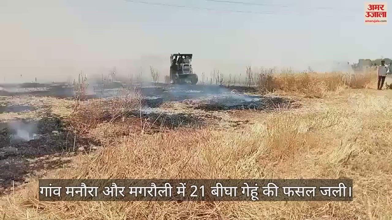 VIDEO : एटा में खेतों में लगी आग, 21 बीघा गेहूं की फसल जलकर राख, नुकसान देख किसान की पत्नी हुई बेहोश