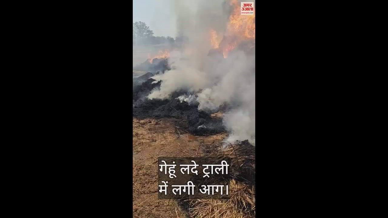 VIDEO : wheat crop and straw burnt to ashes due to fire in Chandauli