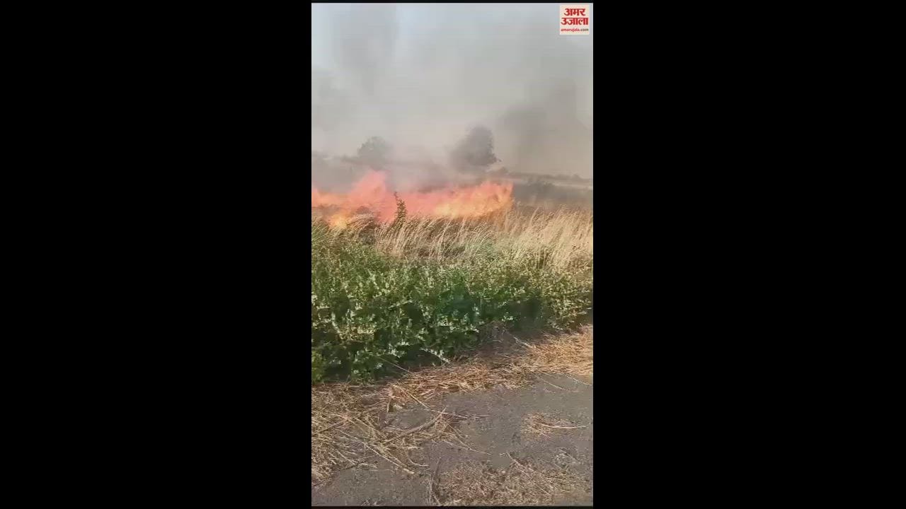 VIDEO : पलिया में हवाई पट्टी के कैंपस में लगी आग, फायर ब्रिगेड ने पाया काबू