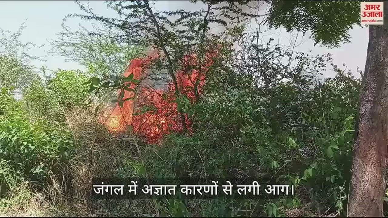 VIDEO : Fire broke out in forest of Bhudhariya Baba temple in mau