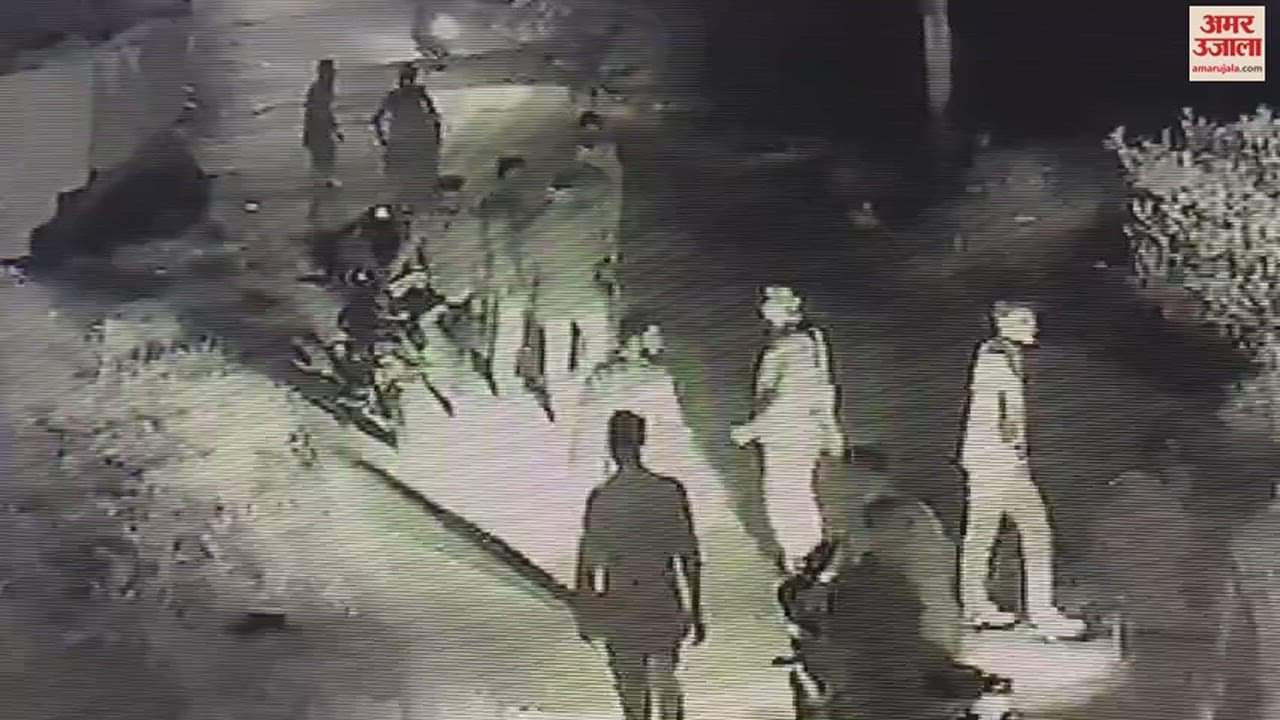 VIDEO : Fierce fight near the post in Amroha, more than twenty youths showed hooliganism, three rounds fired