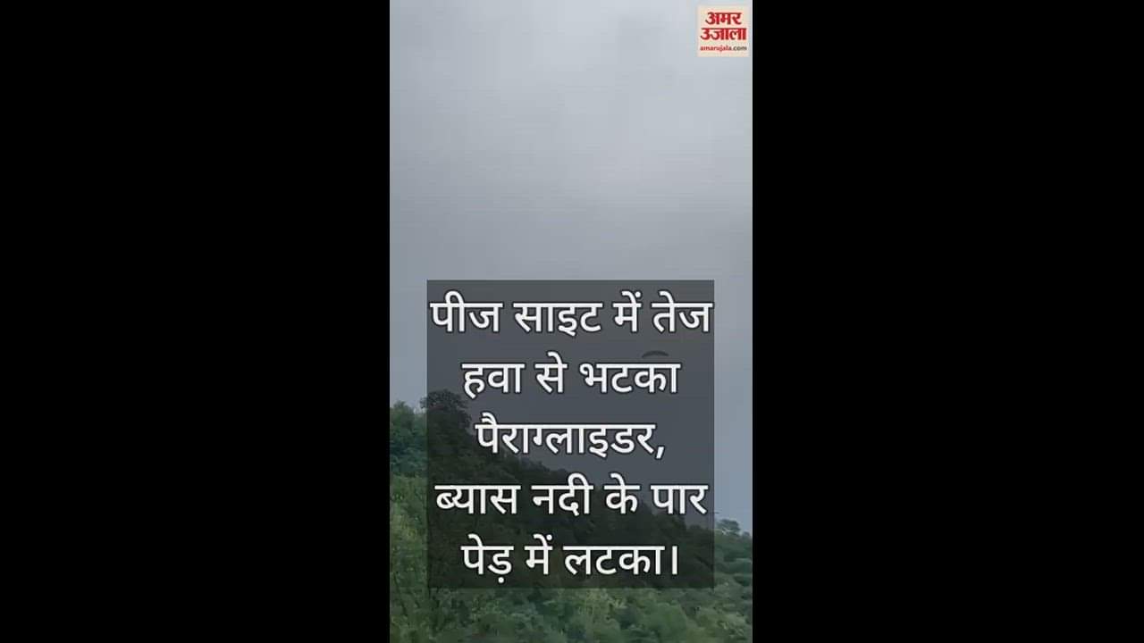 VIDEO : Paraglider strayed due to strong wind in Pease site, hanged in tree across Beas river