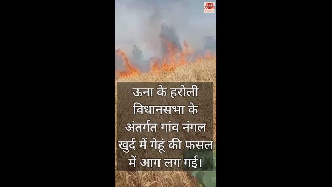 VIDEO : Fire breaks out in wheat crop in Una loss of around Rs 15 thousand
