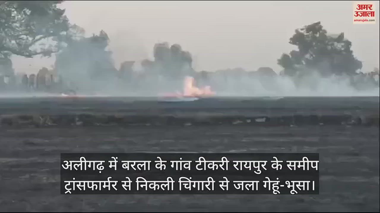 VIDEO : अलीगढ़ में बरला के गांव टीकरी रायपुर के समीप ट्रांसफार्मर से निकली चिंगारी से जला गेहूं-भूसा