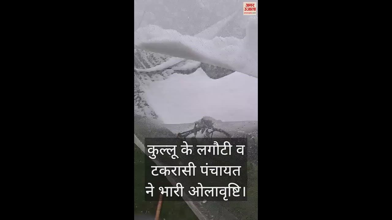 VIDEO : Lagoti and Takrasi Panchayat of Kullu suffered damage to apples due to heavy