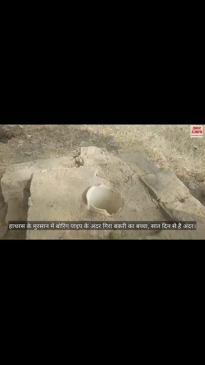 VIDEO : हाथरस के मुरसान में बोरिंग पाइप के अंदर गिरा बकरी का बच्चा, सात दिन से है अंदर