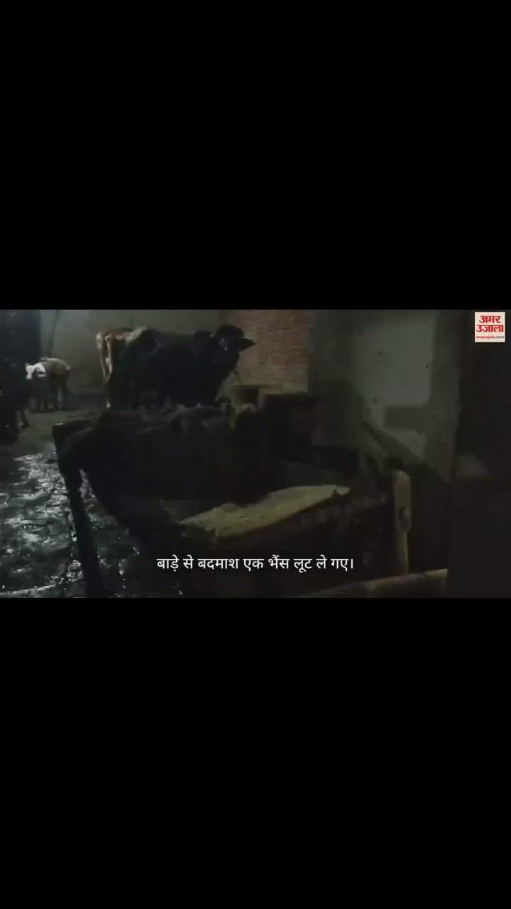 VIDEO : पशुपालक की हत्या, कातिल मुंह में कपड़ा ठूंस पलंग से बांध गए शव