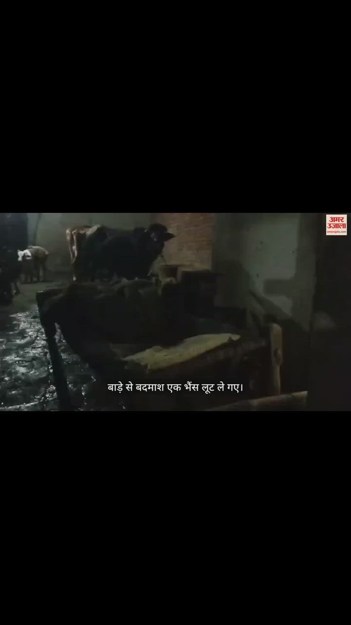 VIDEO : पशुपालक की हत्या, कातिल मुंह में कपड़ा ठूंस पलंग से बांध गए शव