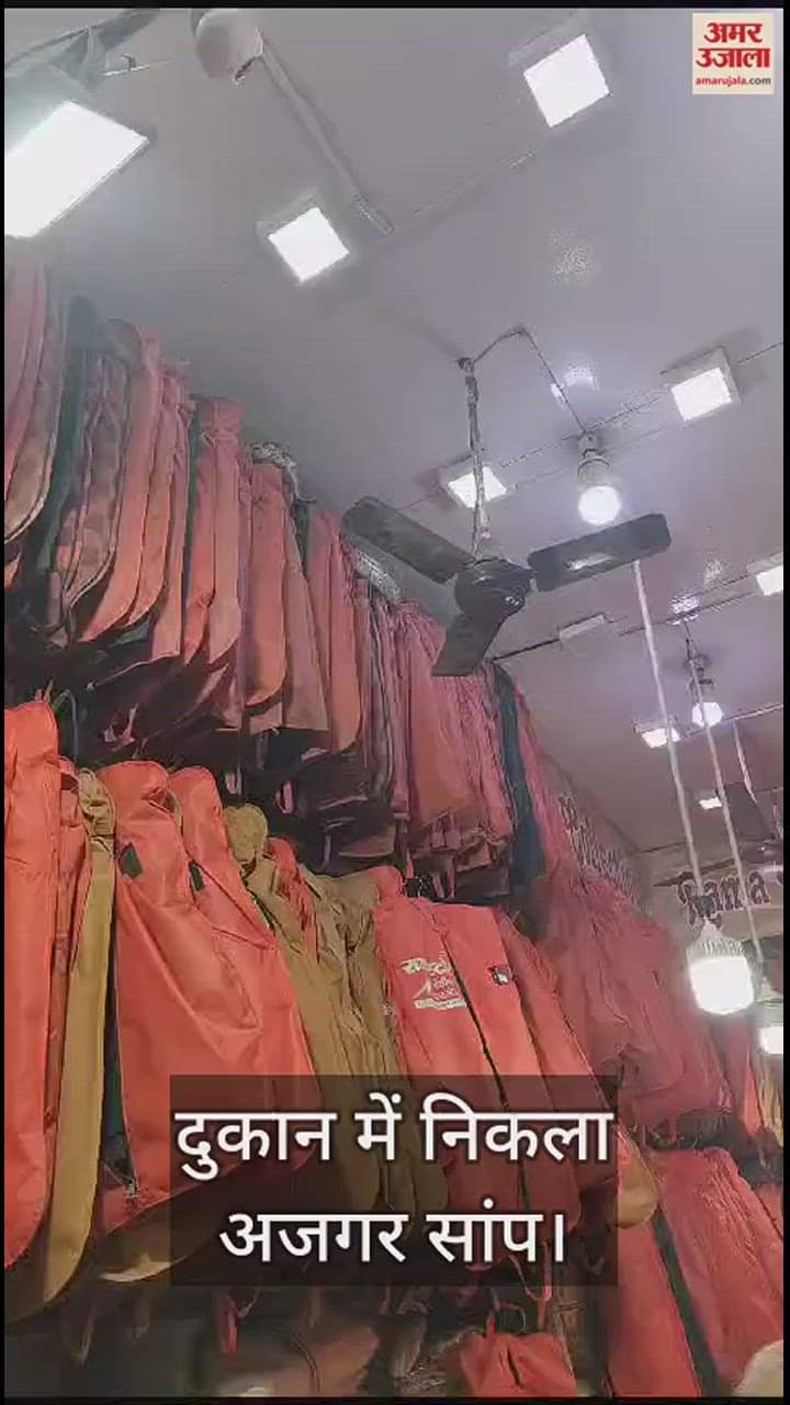 VIDEO : 14 feet long python snake found in a shop in Meerut