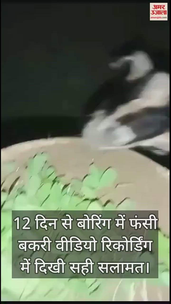 VIDEO : 12 दिन से बोरिंग में फंसी बकरी वीडियो रिकोर्डिंग में दिखी सही सलामत