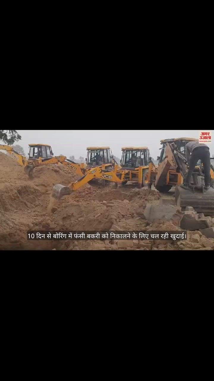 VIDEO : 10 दिन से बोरिंग में फंसी बकरी को निकालने के लिए चल रही खुदाई