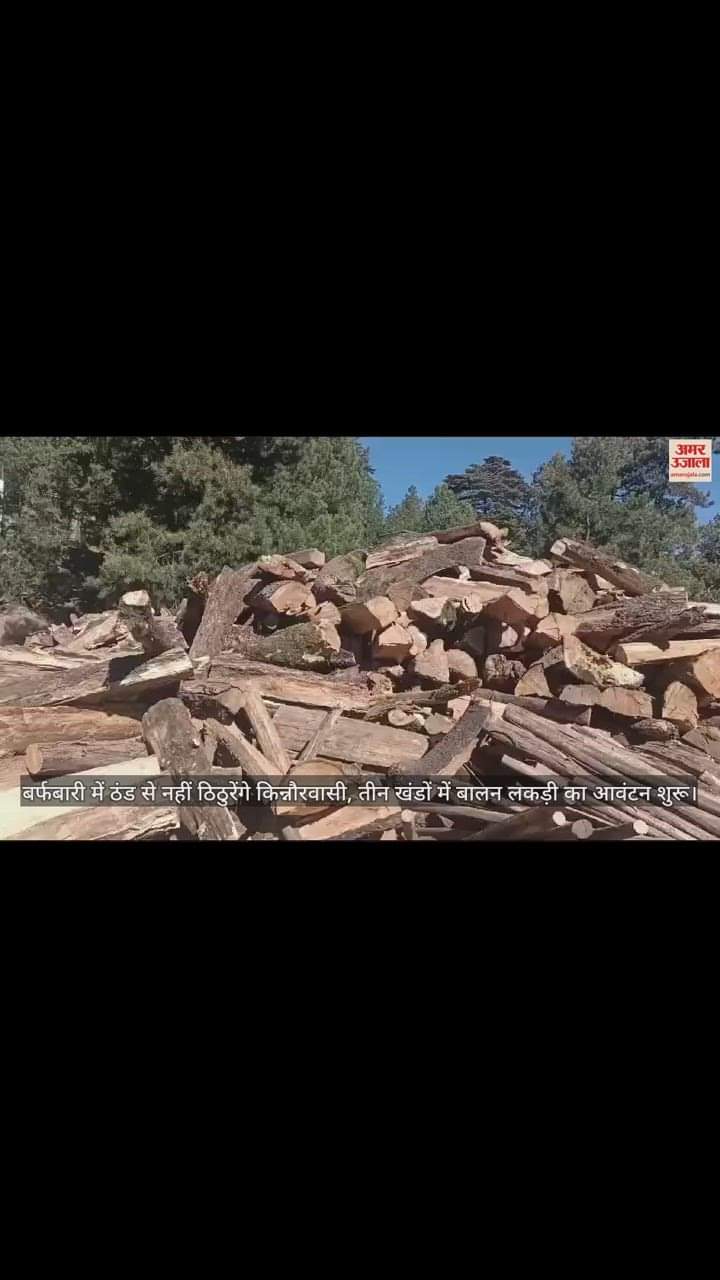 VIDEO : Kinnaur residents will not shiver due to snowfall, distribution of balun wood started