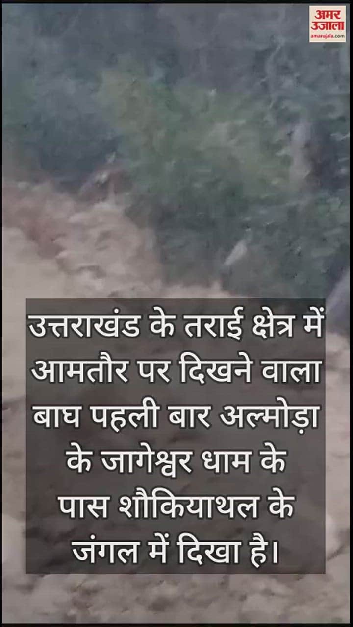 VIDEO : शिवनगरी पहुंचा शक्ति का वाहक, वीडियो देखकर रह जाएंगे हैरान