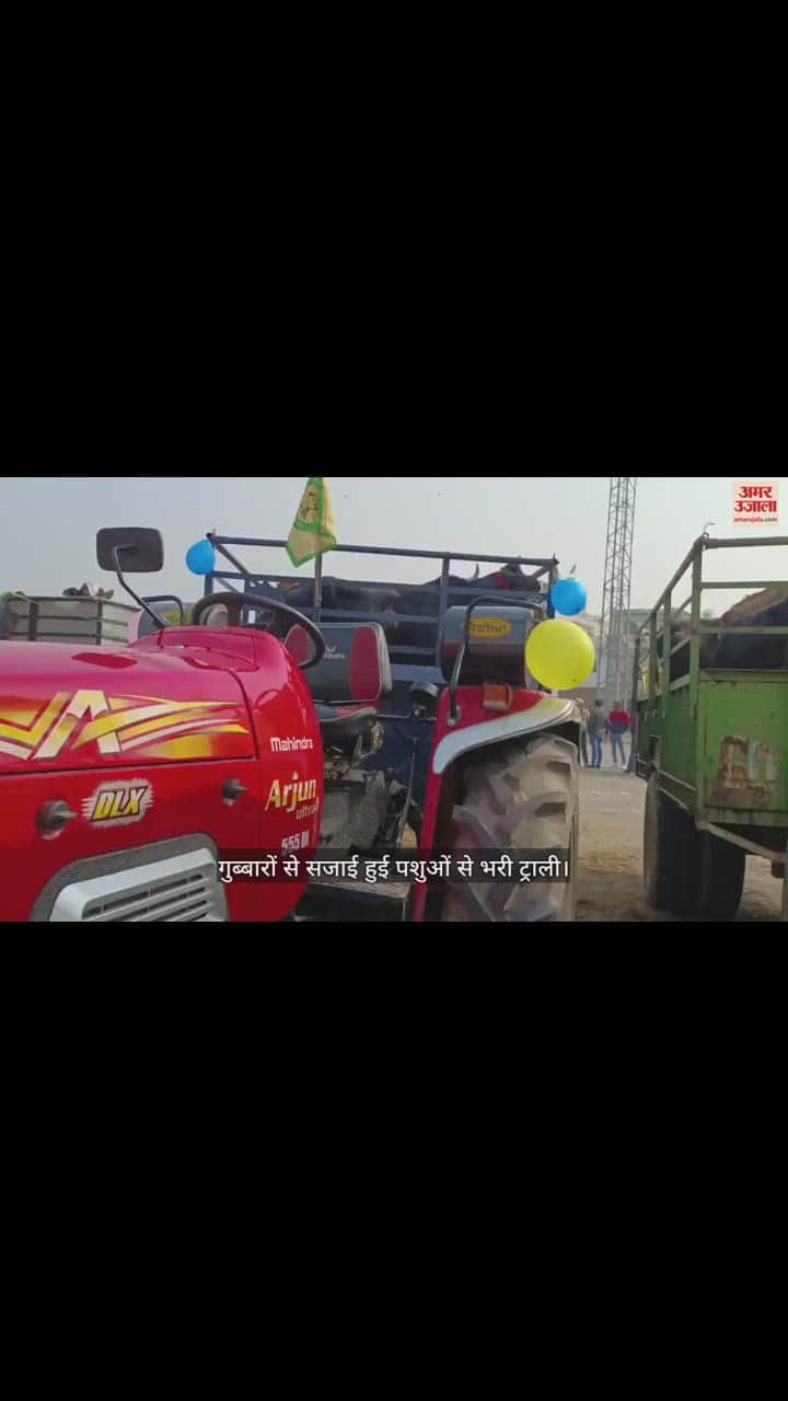 VIDEO : अंबाला में किसानों का अनोखा विरोध, गुब्बारों से सजाकर लाए पशुओं से भरी ट्राली