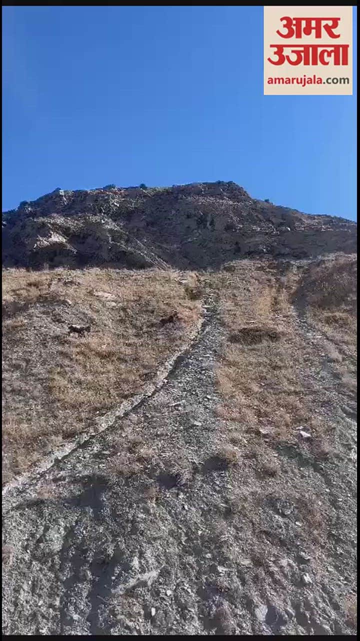 VIDEO : Mountains frozen in Lahaul, Himalayan ibex reaching residential areas in search of water