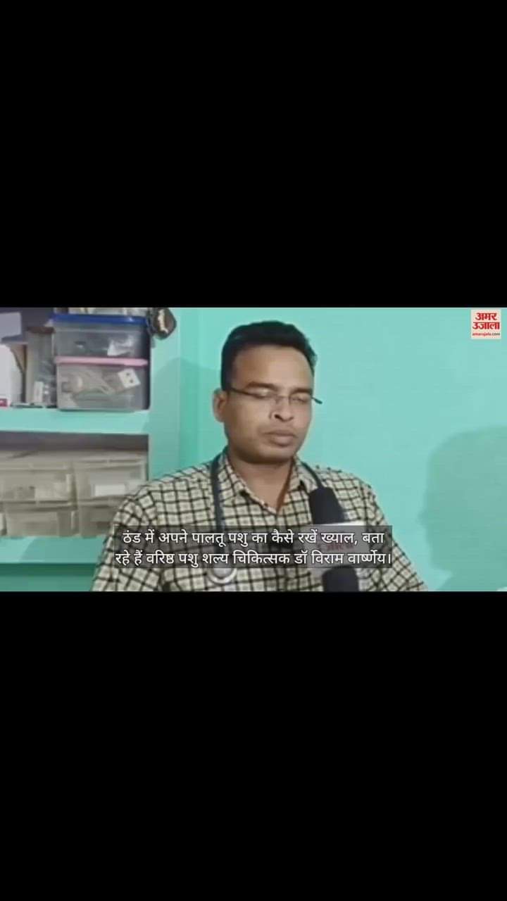 VIDEO : ठंड में अपने पालतू पशु का कैसे रखें ख्याल, बता रहे हैं वरिष्ठ पशु शल्य चिकित्सक डॉ विराम वार्ष्णेय