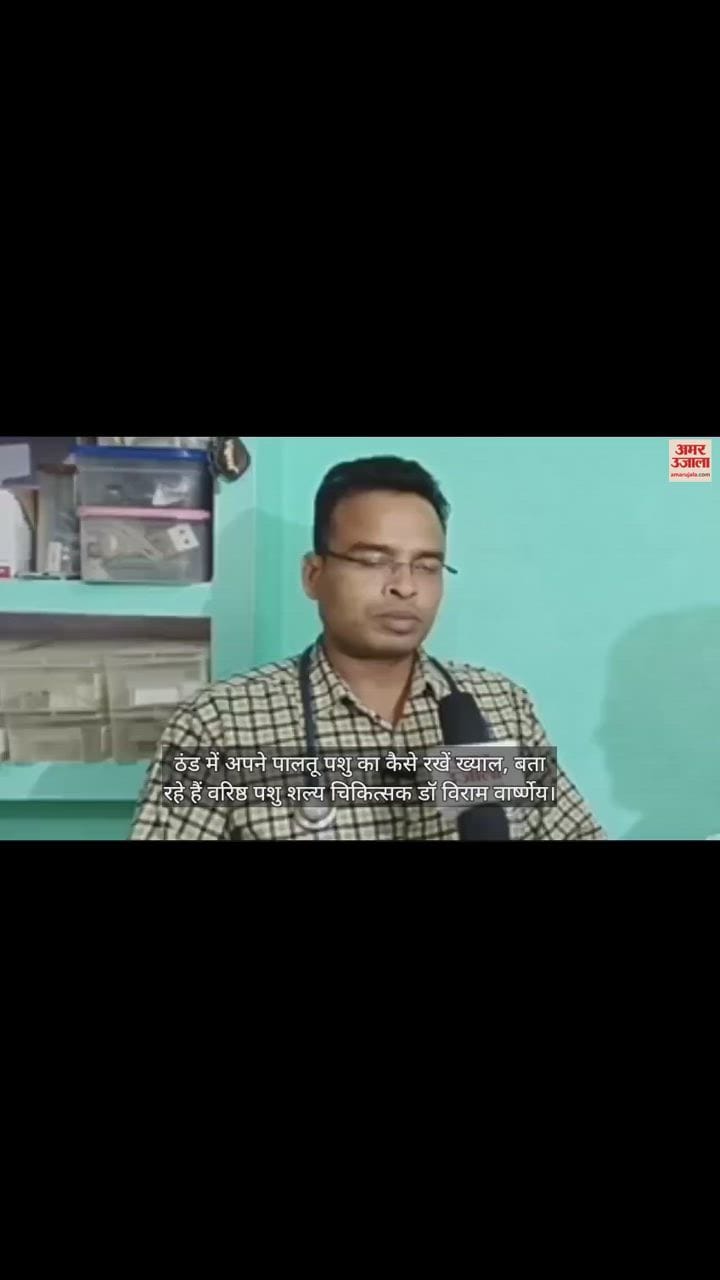 VIDEO : ठंड में अपने पालतू पशु का कैसे रखें ख्याल, बता रहे हैं वरिष्ठ पशु शल्य चिकित्सक डॉ विराम वार्ष्णेय
