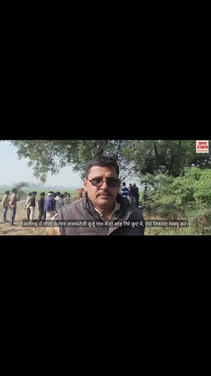 VIDEO : अलीगढ़ में गोरई के गांव वासफटेली बुर्जू गांव में दो सांड़ गिरे कुएं में, ऐसे निकाला रेस्क्यू कर