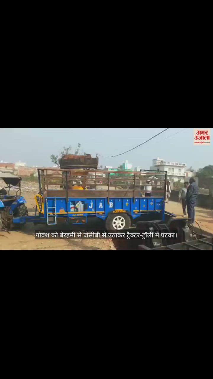 VIDEO : गोवंश को बेरहमी से जेसीबी से उठाकर ट्रैक्टर-ट्रॉली में पटका