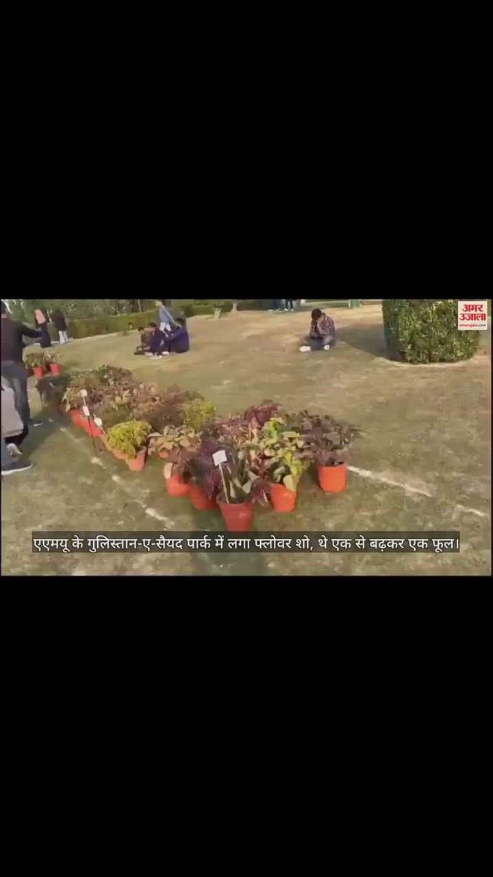 VIDEO : एएमयू के गुलिस्तान-ए-सैयद पार्क में लगा फ्लाेवर शो, थे एक से बढ़कर एक फूल