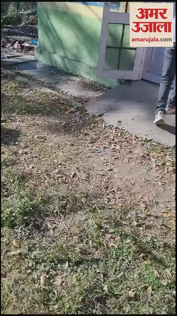 VIDEO : Forest department gave new life to vulture of extinct species in Chamba