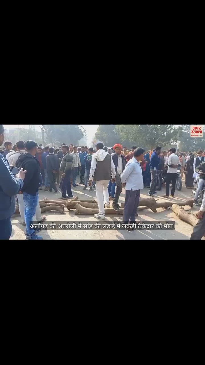 VIDEO : अलीगढ़ की अतरौली में सांड की लड़ाई में लकड़ी ठेकेदार की मौत