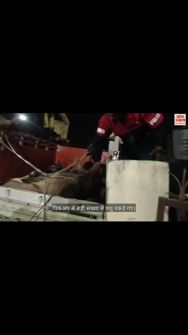 VIDEO : Two bike riders died in collision with pickup in Siddharthnagar