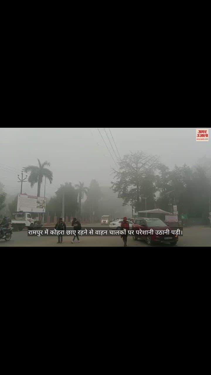 VIDEO : रामपुर में कोहरा छाने से वाहन चालकों को परेशानी, ठंड से बचने के लिए अलाव बना सहारा