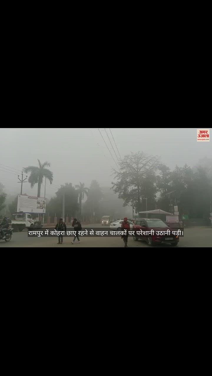 VIDEO : रामपुर में कोहरा छाने से वाहन चालकों को परेशानी, ठंड से बचने के लिए अलाव बना सहारा