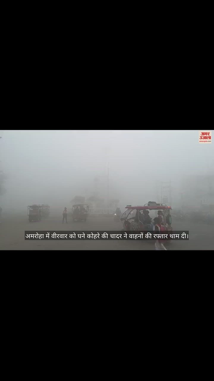 VIDEO : अमरोहा में घने कोहरे ने थामी वाहनों की रफ्तार, दिन में भी लाइट जलाकर गुजरे, दोपहर बाद खिली धूप