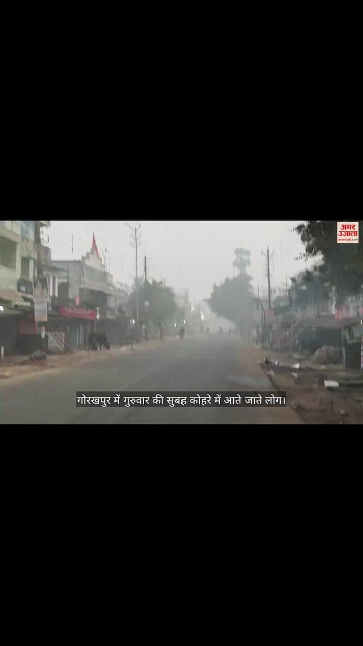 VIDEO : morning shadow fog in gorakhpur