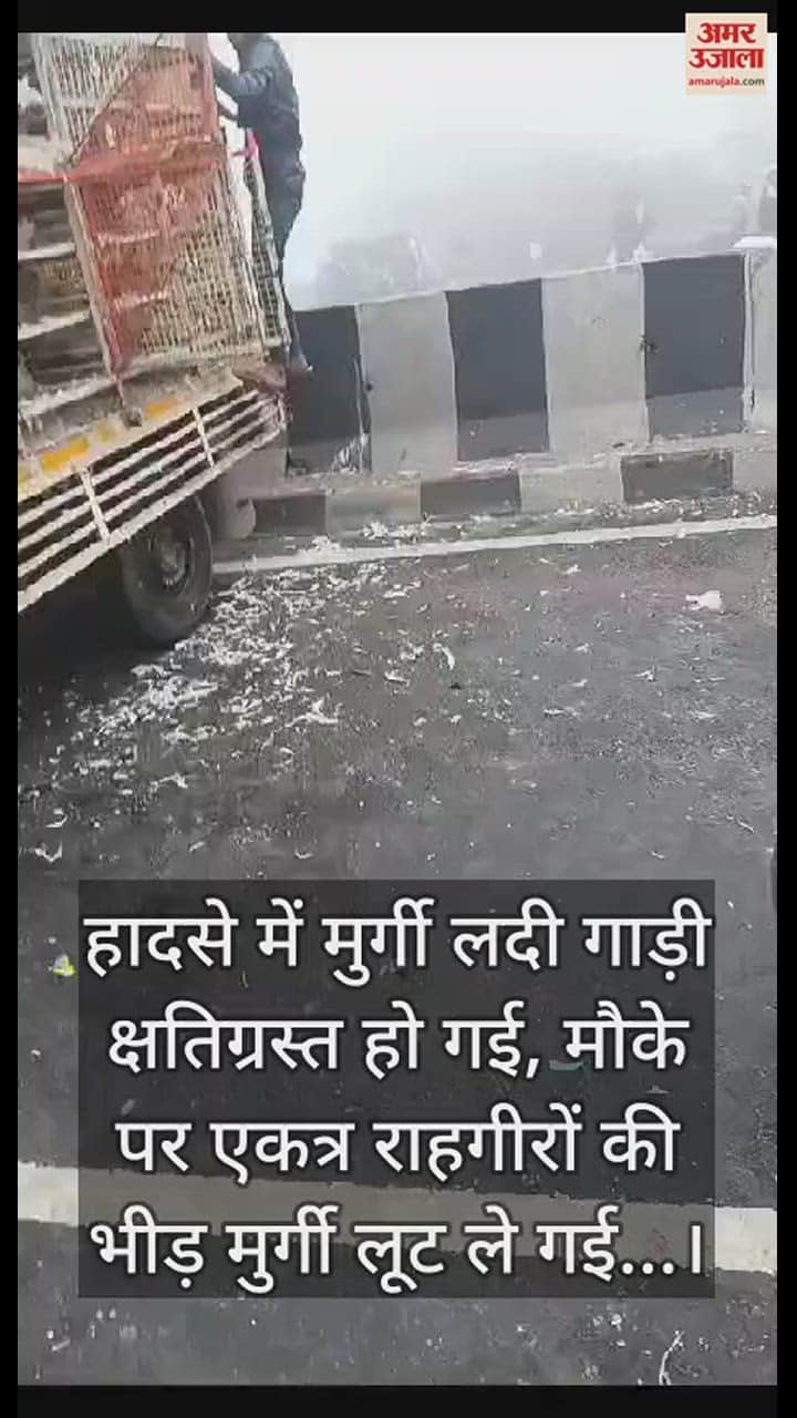 VIDEO : घने कोहरे में टकराए एक दर्जन वाहन; क्षतिग्रस्त वाहन से मुर्गी लूटने में जुटे लोग