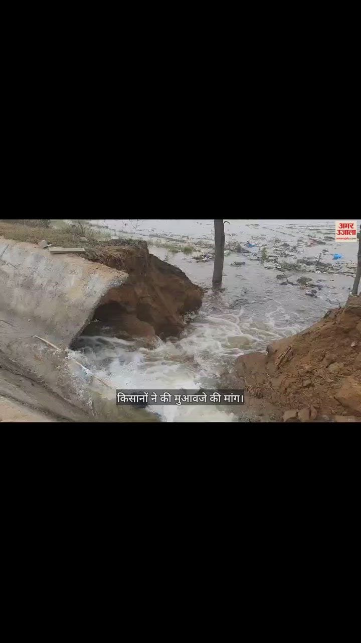 VIDEO : Farmers Crops Submerged Due To Canal Breaks In Kapurthala