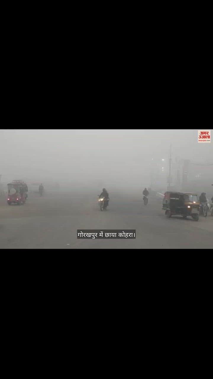 VIDEO : Shadow fog in Gorakhpur cold will haunt for three more days