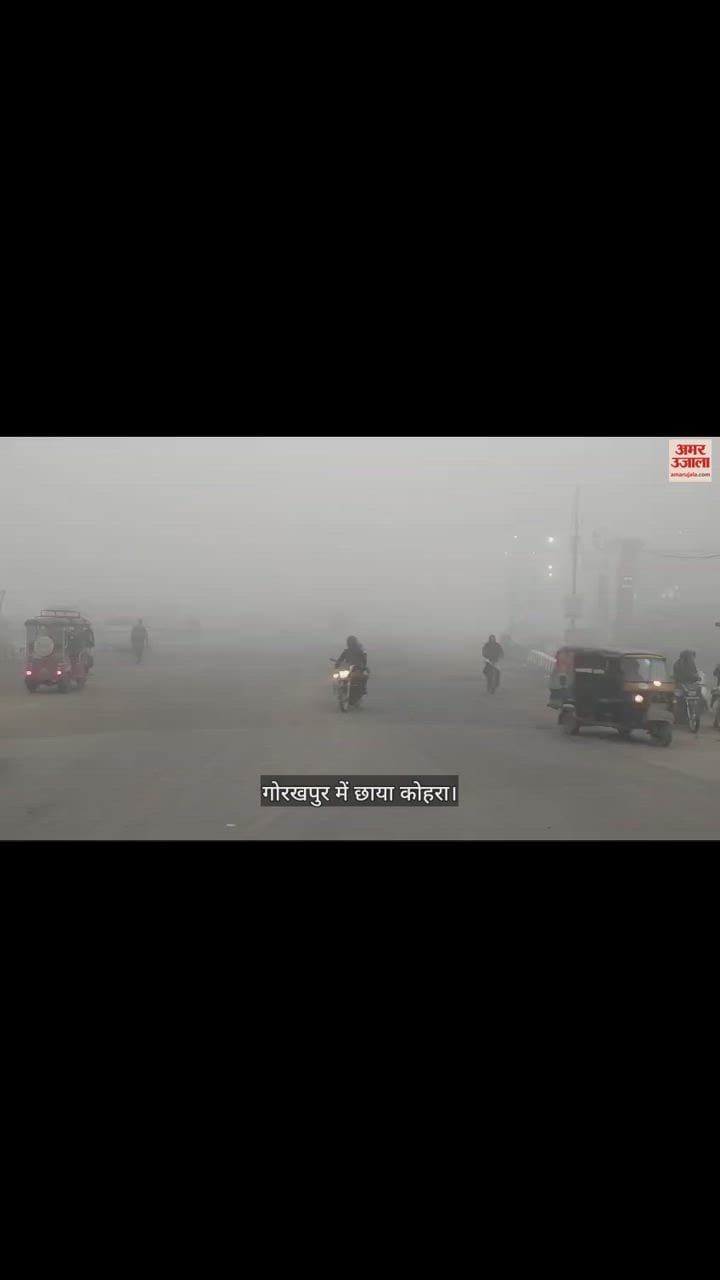VIDEO : Shadow fog in Gorakhpur cold will haunt for three more days