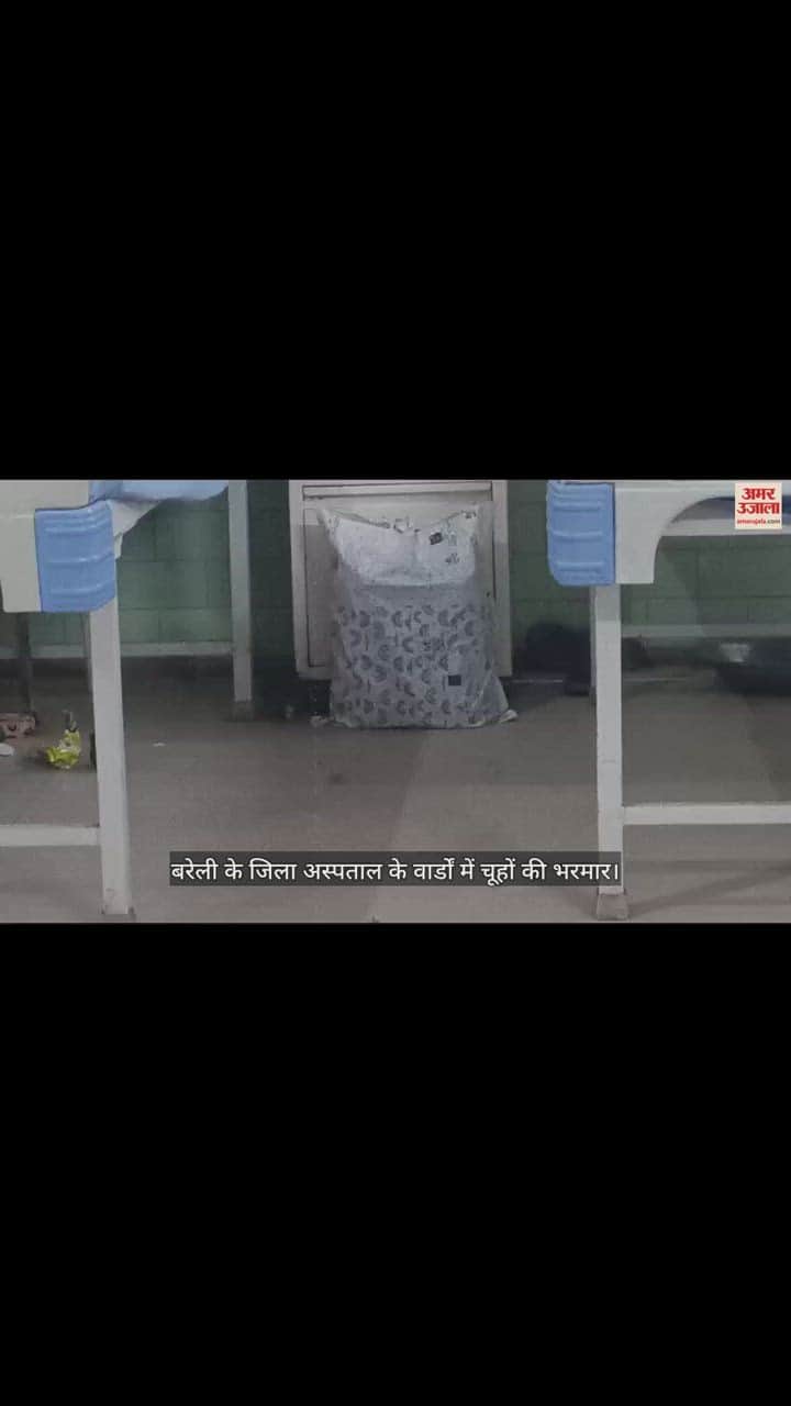 VIDEO : बरेली के जिला अस्पताल के वार्डों में चूहों की भरमार, मरीज और तीमारदार परेशान