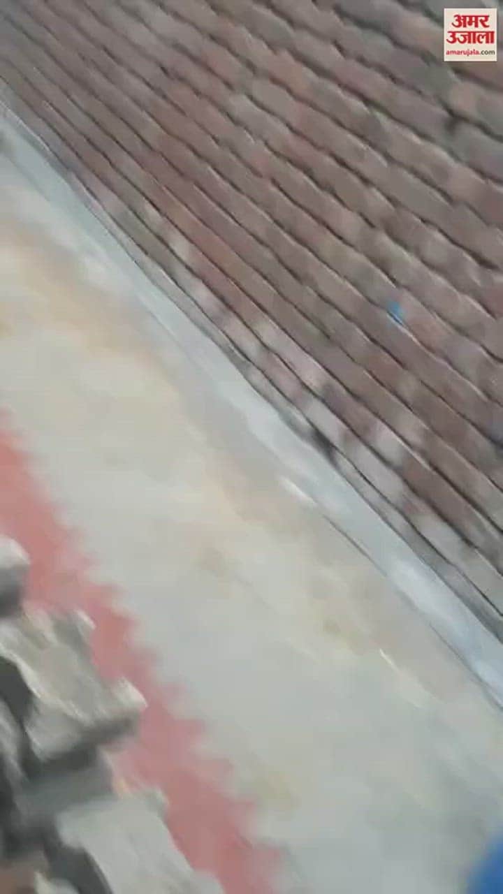 VIDEO : पानीपत में सीएम फ्लाइंग की टीम ने वैसर गांव में नकली पनीर की फैक्टरी पकड़ी