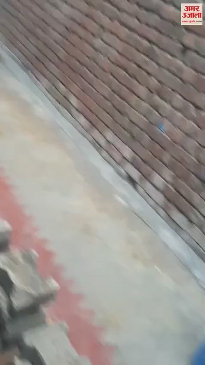 VIDEO : पानीपत में सीएम फ्लाइंग की टीम ने वैसर गांव में नकली पनीर की फैक्टरी पकड़ी